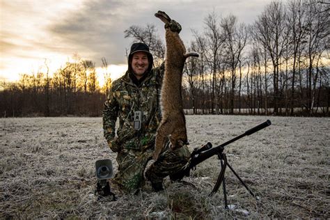 FOXPRO Inc. Eastern Bobcat Hunting by Jon Collins