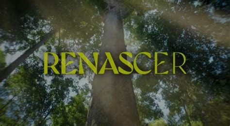 Final de Renascer: confira como será o final desses 10 personagens da novela Renascer