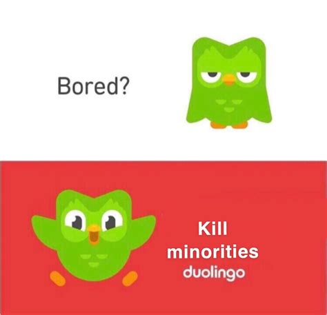 Duolingo birds power level is off the charts : r/dankmemes