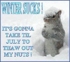 Its So Cold Funny Quotes. QuotesGram