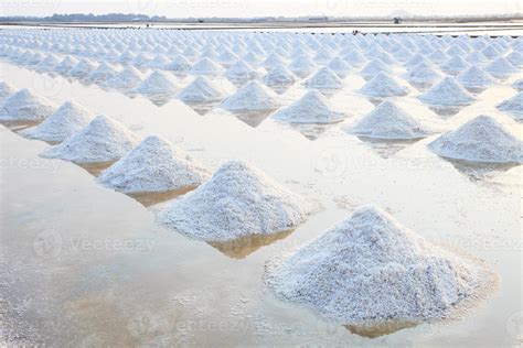 harvesting salt farm 1348337 Stock Photo at Vecteezy