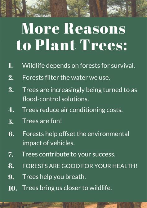 The Benefits of Tree Planting | The Woodlands Township Environmental Services