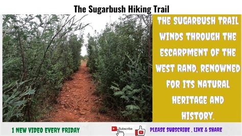 Sugarbush Trail, Krugersdorp, South Africa||Hiking Trails Gauteng || #Jozi Active|| ToF|| - YouTube