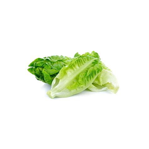 Lettuce Romaine Baby | Nature Farm