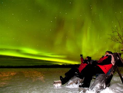 Aurora Borealis Tour | Experience the Beauty of Whitehorse