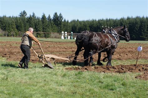 The McDonald Family: An Old- Fashioned Plowing Competition!