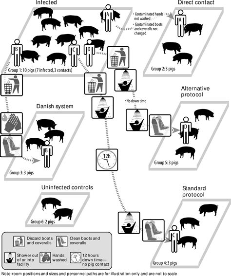 Figure 1 from Transmission of porcine reproductive and respiratory ...