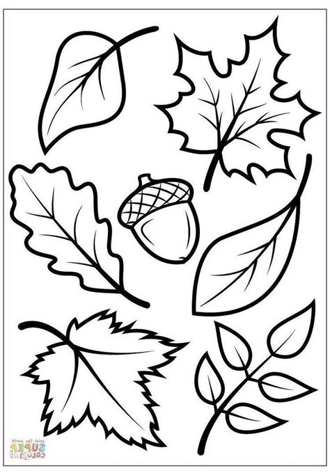 Pin by Ana Lopez on cumple 1 de Cata | Leaf coloring page, Fall coloring pages, Fall leaves ...