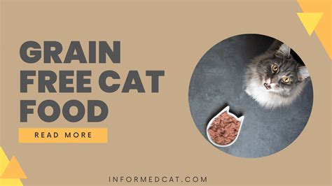 Benefits of grain free cat food