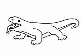 Komodo Dragon  Coloring Page sketch template