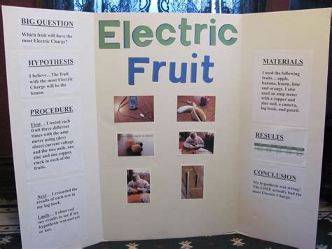 10 Amazing Ideas For Science Fair Projects For 6Th Grade 2024