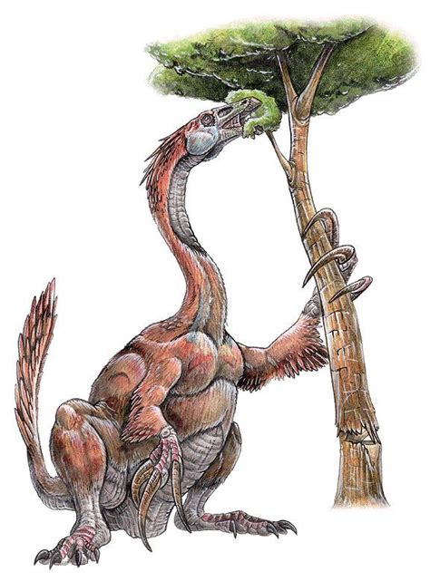 Top 10 Feathered Dinosaurs | Feathered dinosaurs, Prehistoric creatures, Dinosaur art