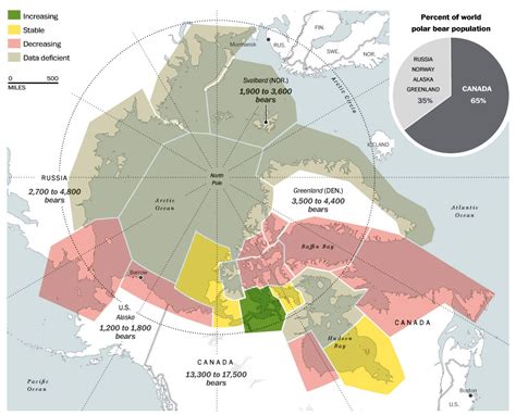 Polar bear population trends - The Washington Post