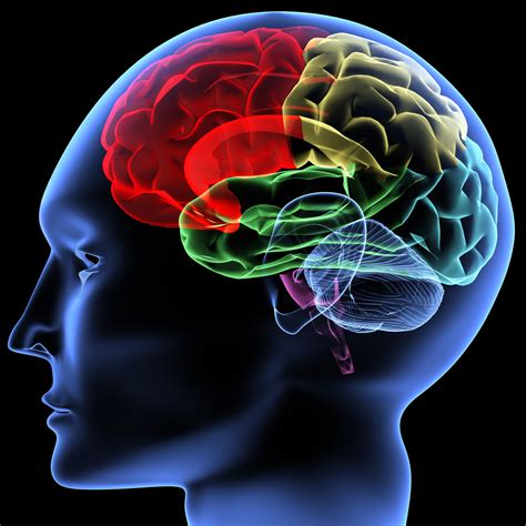 Using Brain Science to Treat Substance Use Disorder - BreakingTheCycles.com