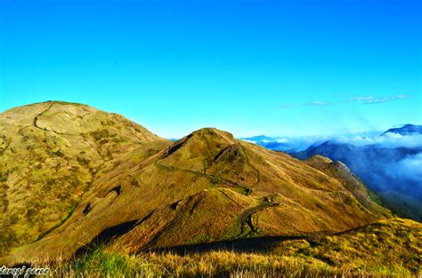 Mt. Pulag – Loneprowler