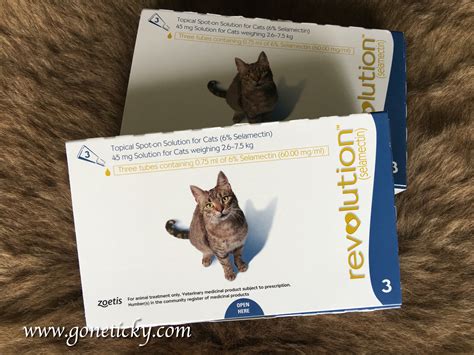 2 Boxes REVOLUTION® (6 doses) 45mg Treatment for Fleas & Ear Mites for ...