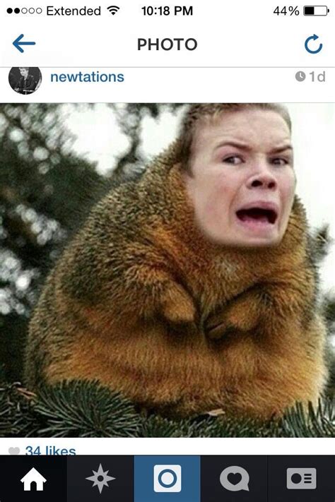 Will Poulter Meme Eyebrows - churchlea