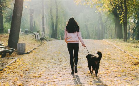 6 Spots In Delhi That Are Perfect To Take Your Dog For A Walk | WhatsHot Delhi Ncr