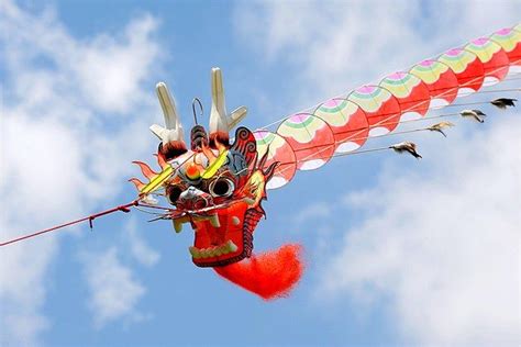 High-flying kites | Go fly a kite, Dragon kite, Kite