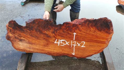 Redwood Burl Slabs - Unique Redwood Pieces - Redwood Burl Inc.