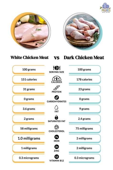 White Meat vs Dark Meat Chicken: Full Health Comparison with Calories, Fat, and More