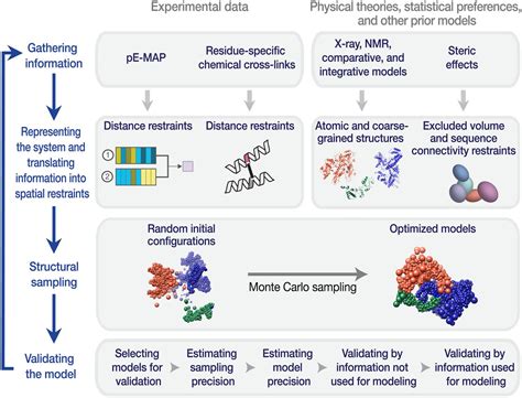 Determination of the Whole Structure of Protein Complex by Gene Interaction Map – Creative ...