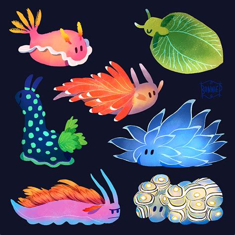 Sea Slugs by l3onnie on DeviantArt