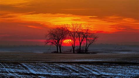 Treemendous Sunrise in Central North Dakota, winter, snow, clouds, colors, landscape, trees, sky ...