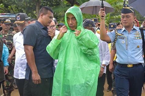 Viral !! Monyet Pakai Jas Hujan Hijau, Kok Muncul Foto Jokowi, Ini ...