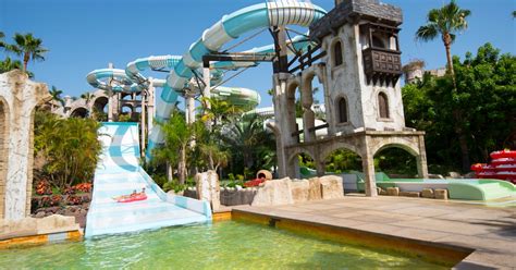 Costa Adeje: Aqualand Water Park Ticket with Dolphin Show | GetYourGuide