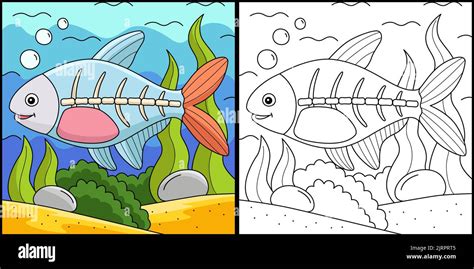 X-ray Fish Animal Coloring Page Illustration Stock Vector Image & Art ...