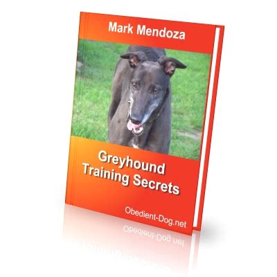 Greyhound Training Secrets - How To Train a Gordon setter