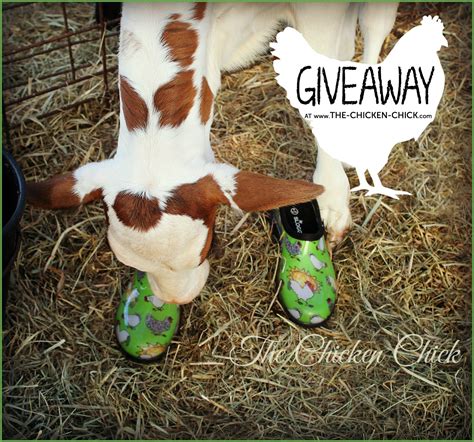 Sloggers Chicken Print Shoes GIVEAWAY at the Clever Chicks Blog Hop ...