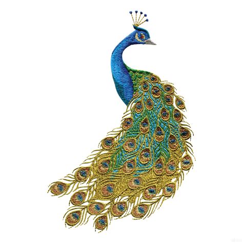 design peacock - Clip Art Library