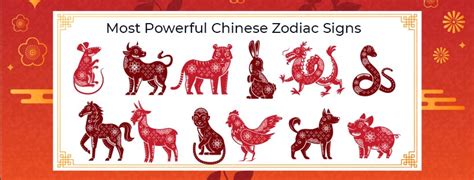 Can You Be Two Chinese Zodiac Signs