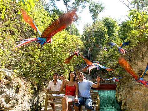 Actividades imperdibles en Xcaret