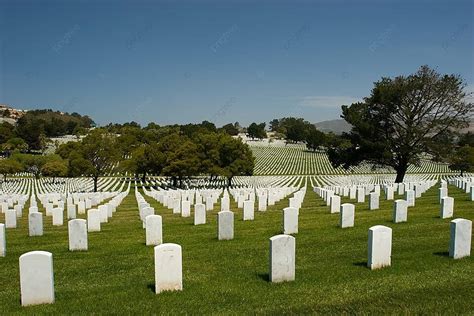 Memorial Day Natural Flag Grave Photo Background And Picture For Free ...