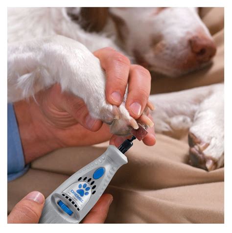 Choosing And Using Dog Nail Clippers by The Labrador Site