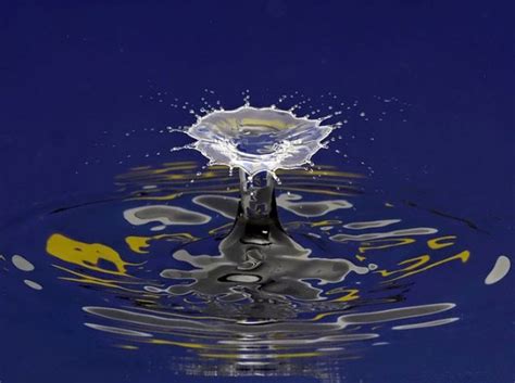 Water Drop Art - Gallery | eBaum's World