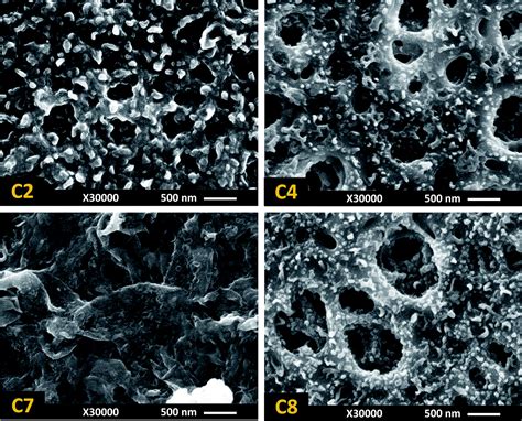 Thin film composite polyamide membranes: parametric study on the influence of synthesis ...