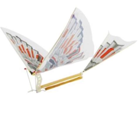 Rubberband Powered Ornithopter - Flying Toy Bird, Hobbies & Toys, Toys & Games on Carousell