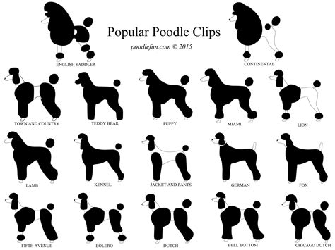 Poodle Clips - Poodles of Piedmont