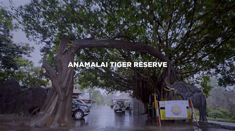 Anamalai Tiger Reserve | Wildlife | Tamil Nadu Tourism | Travel and ...