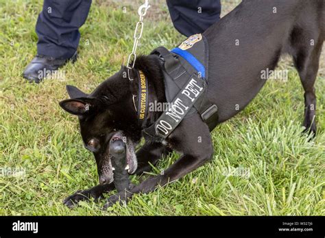 Customs and border protection hi-res stock photography and images - Alamy