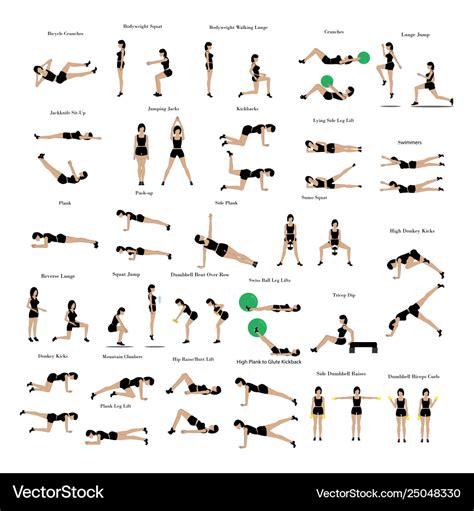 Fat burning workout exercises Royalty Free Vector Image