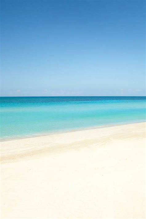 Honeymoon - BEACHES-the Beautiful #2157962 - Weddbook