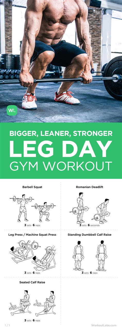 Mike Matthews Bigger Leaner Stronger Leg Day Workout for Men