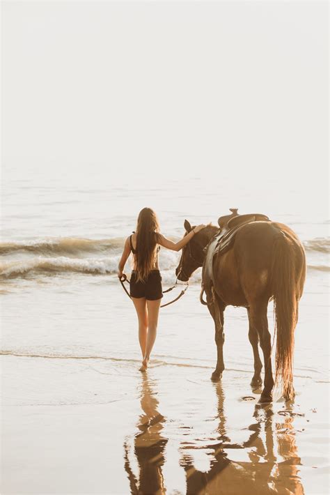 horse photo session in 2021 | Horse photos, Horse photography, Horses