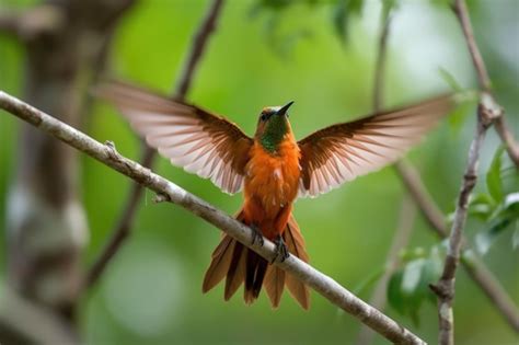 Premium AI Image | Hummingbird flapping its wings and taking off from ...