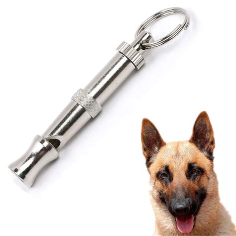 10 Best Dog Whistles to Train Your Pooch - Your Ultimate Buying Guide ...